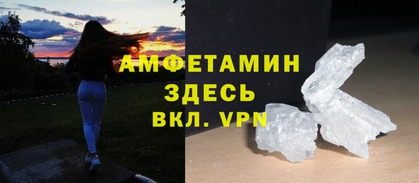 индика Михайлов
