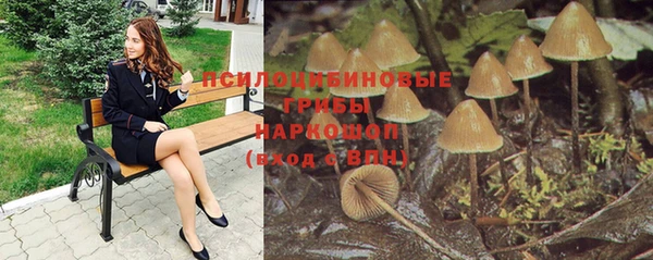 винт Баксан